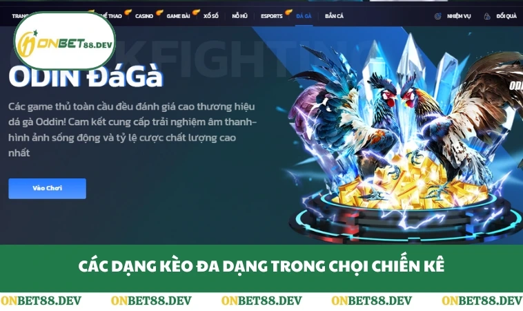 Các dạng kèo đa dạng trong chọi chiến kê
