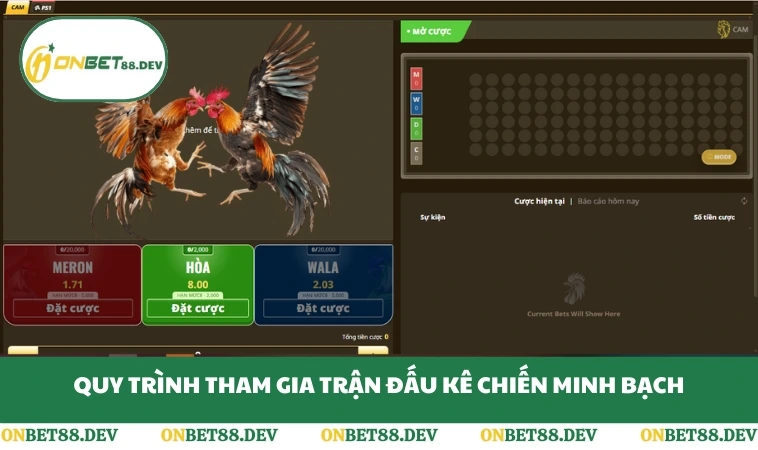 Quy trình tham gia trận đấu kê chiến minh bạch