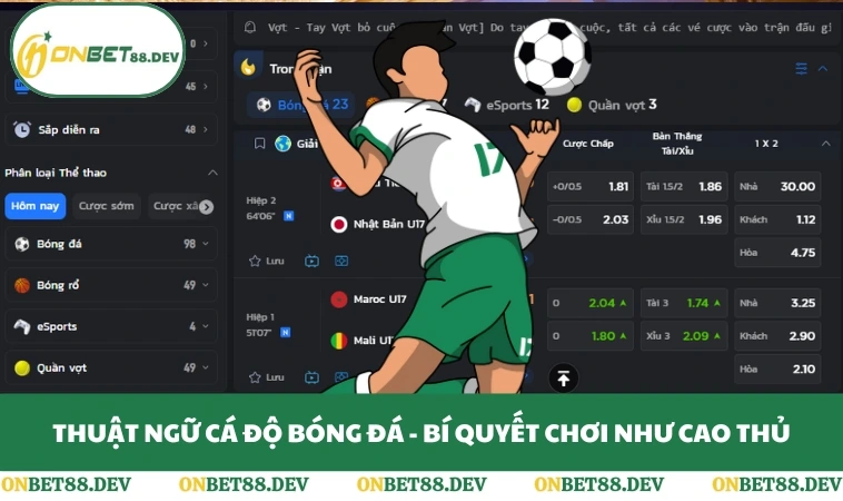 Thuật Ngữ Cá Độ Bóng Đá - Bí Quyết Chơi Như Cao Thủ